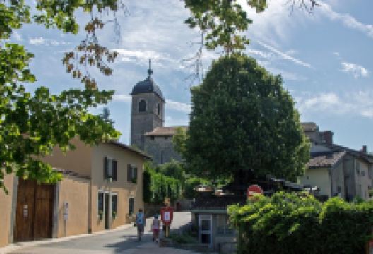 Church of Saint Mary Magdalene景点图片