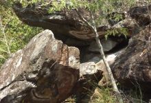 J.C. Slaughter Falls景点图片