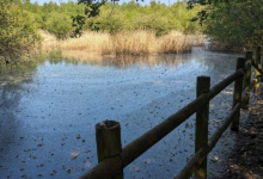 Beacon Wood Country Park景点图片