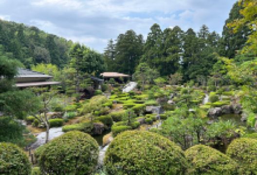 翡翠园景点图片