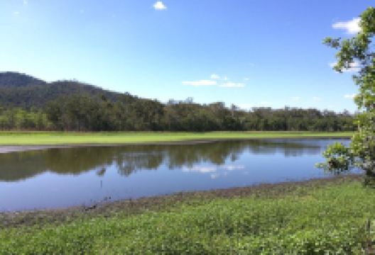 Hasties Swamp National Park景点图片