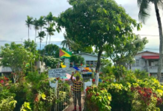Roy Geddes Steel Pan Museum景点图片