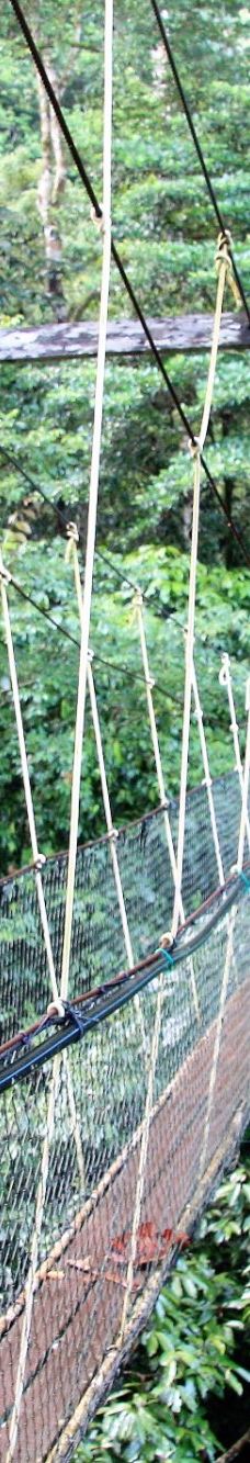 Mulu Skywalk-马鲁迪