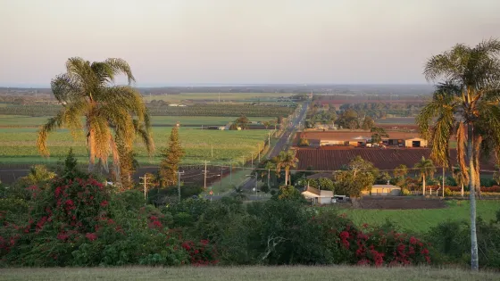 Hummock Lookout