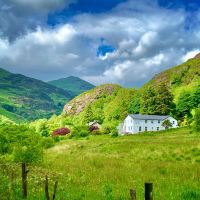 贝德盖勒特图片