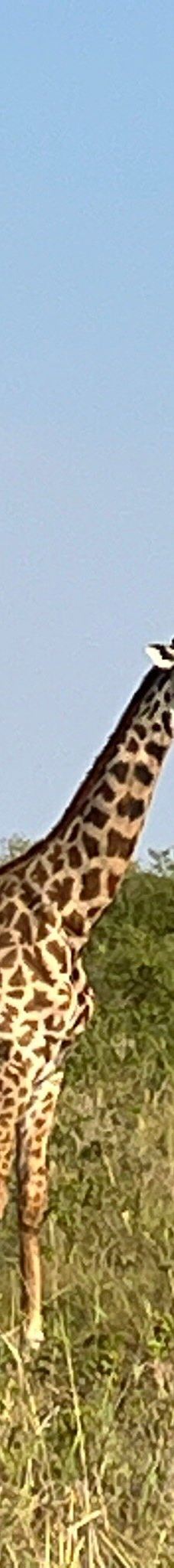 Adventure Africa Expedition-内罗毕