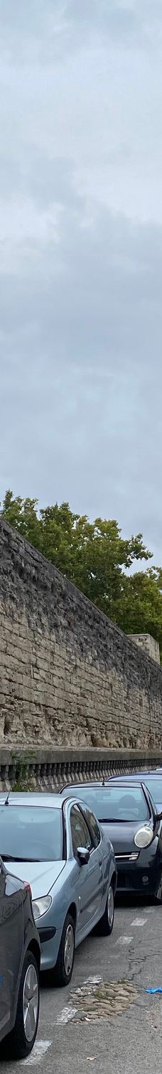 阿维尼翁城墙-阿维尼翁