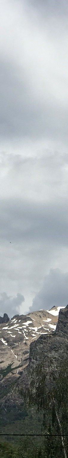 Punto Panorámico - Circuito Chico-巴里洛切县