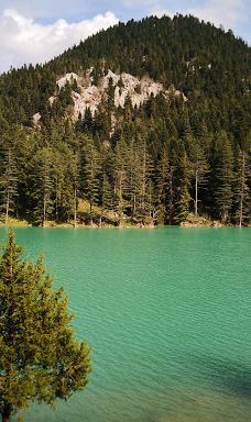 Savrun Stream-卡迪尔利