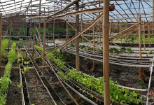 Muara Gembong Farm景点图片