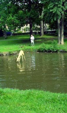 Nerotal-Anlagen-威斯巴登