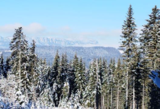 Le Sentier du Fer de Pinsot景点图片