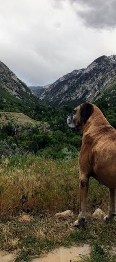 Dimple Dell Regional Park-山迪