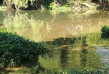 Río "TANKOKO"景点图片