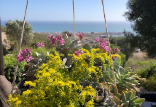 De Vette Potte Cement pots购物图片