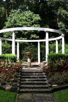 卧龙岗植物园-Keiraville