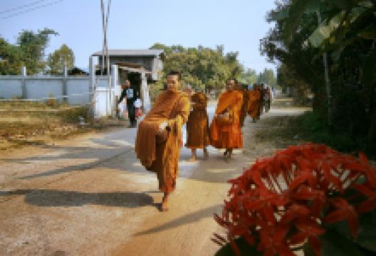 Wat Pa Phuttha Ana景点图片