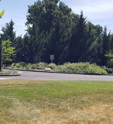 Blue Heron Park-杰克逊县