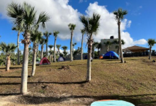 Rancho Los Primos景点图片