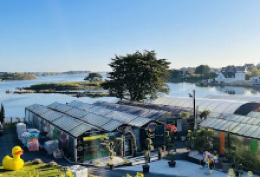 Veget O Déco购物图片