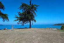 Grande plage des Haas景点图片