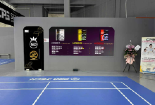 GD SPORT BADMINTON购物图片