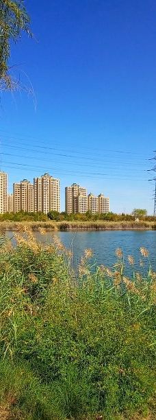 彩蝶湖公园-滨州