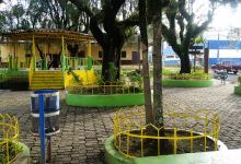 Jardin El Carmel Park景点图片