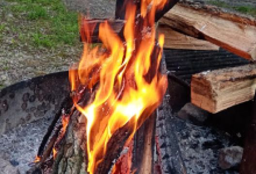 Prairie Creek Campground景点图片