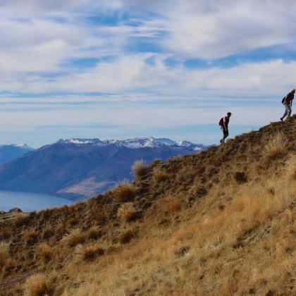 新西兰瓦纳卡+罗伊峰步行道4日3晚私家团