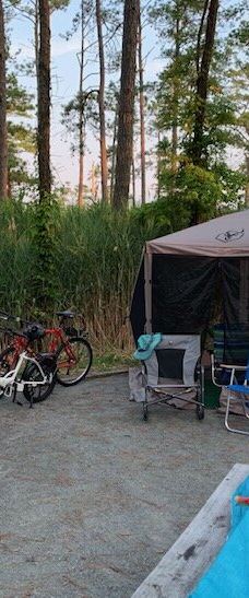 Point Lookout State Park-圣玛丽县