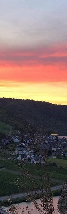 Metternich Castle-拜尔施泰因