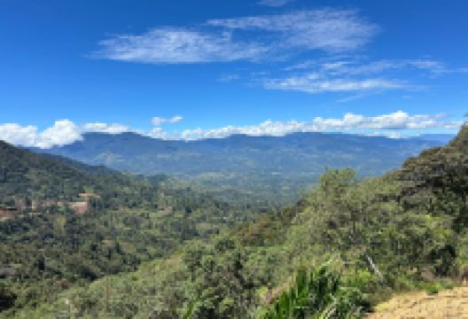 Mount Wilhelm景点图片