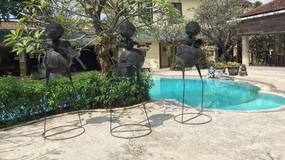 Melka Excelsior Dolphin & Wildlife Resort