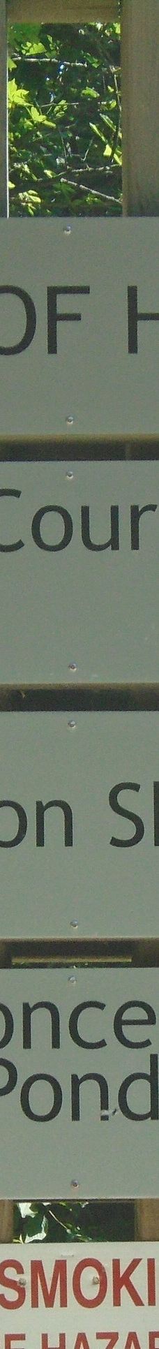 中央公园-本那比