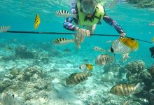 泻湖水族馆景点图片