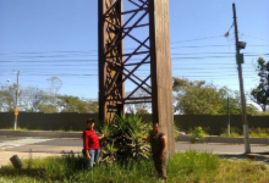 Bicentennial Park景点图片