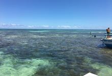 Piscinas Naturais Paripueira - Alagoas景点图片