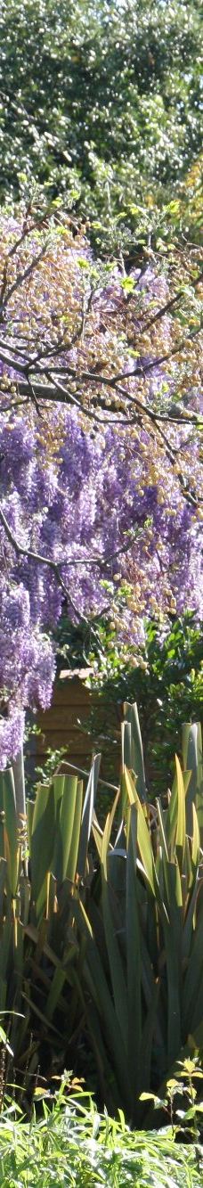 The Tropic of butterfly-埃尔讷