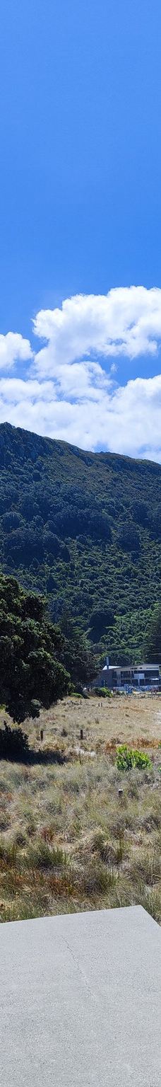 Mauao / Mount Maunganui summit-塔朗哥