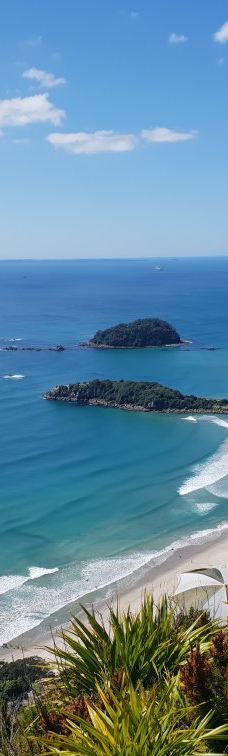 Mauao / Mount Maunganui summit-塔朗哥