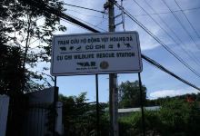 Cu Chi Wildlife Rescue Station景点图片