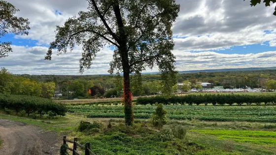 Wightman's Farm