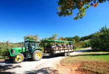 Apple Hill Orchard & Cider Mill景点图片