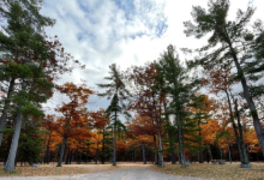 Burt Lake State Park景点图片
