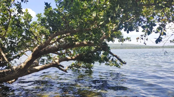 Lake Danao