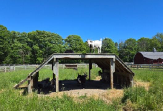 The Farm景点图片