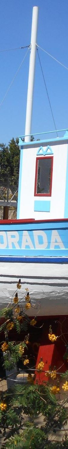 La Dorada 1a - Barco de Chanquete-内尔哈