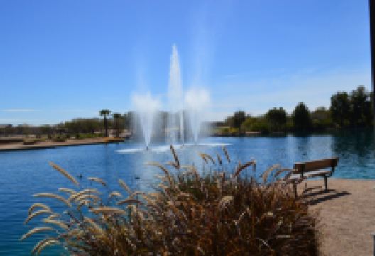 Jane Askew Memorial Park景点图片