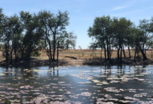 Marlgu Billabong景点图片